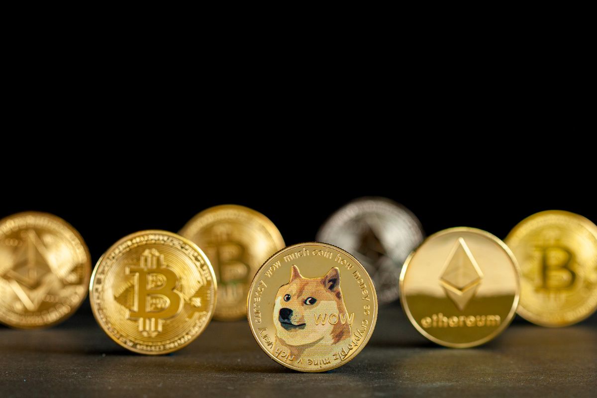 how to buy wife doge crypto