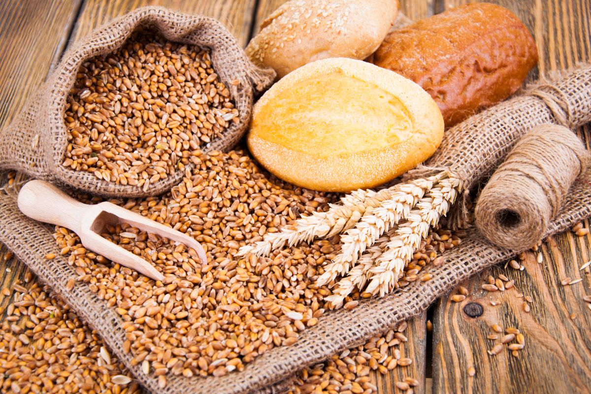 Investing In Wheat Commodities