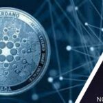 Cardano Network Proves Resilient; Investors Happy